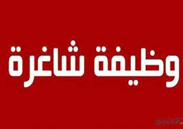 عامل تحميل و تنزيل وتعبئة اكياس